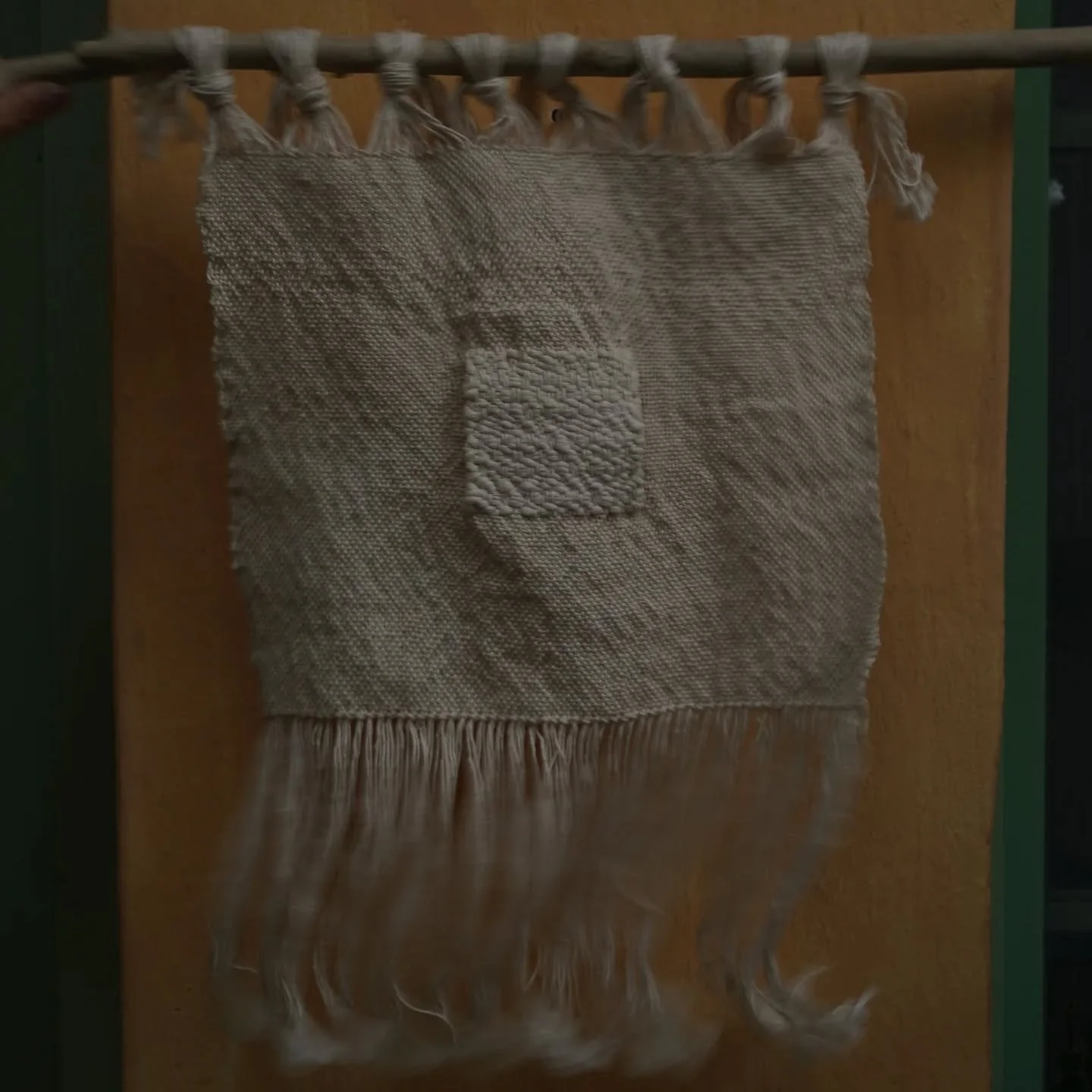 Textiles speak of movements 

Seed dispersal, animal movement 

The shuttle travelling back and forth

Movement and mobility are built into them as is in all aspects of life 

𓇗