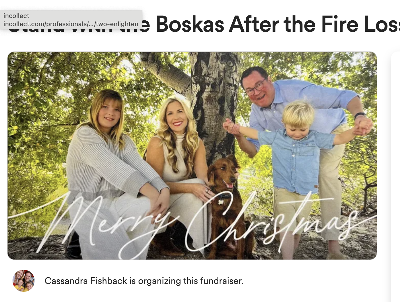 Boskas gofundme