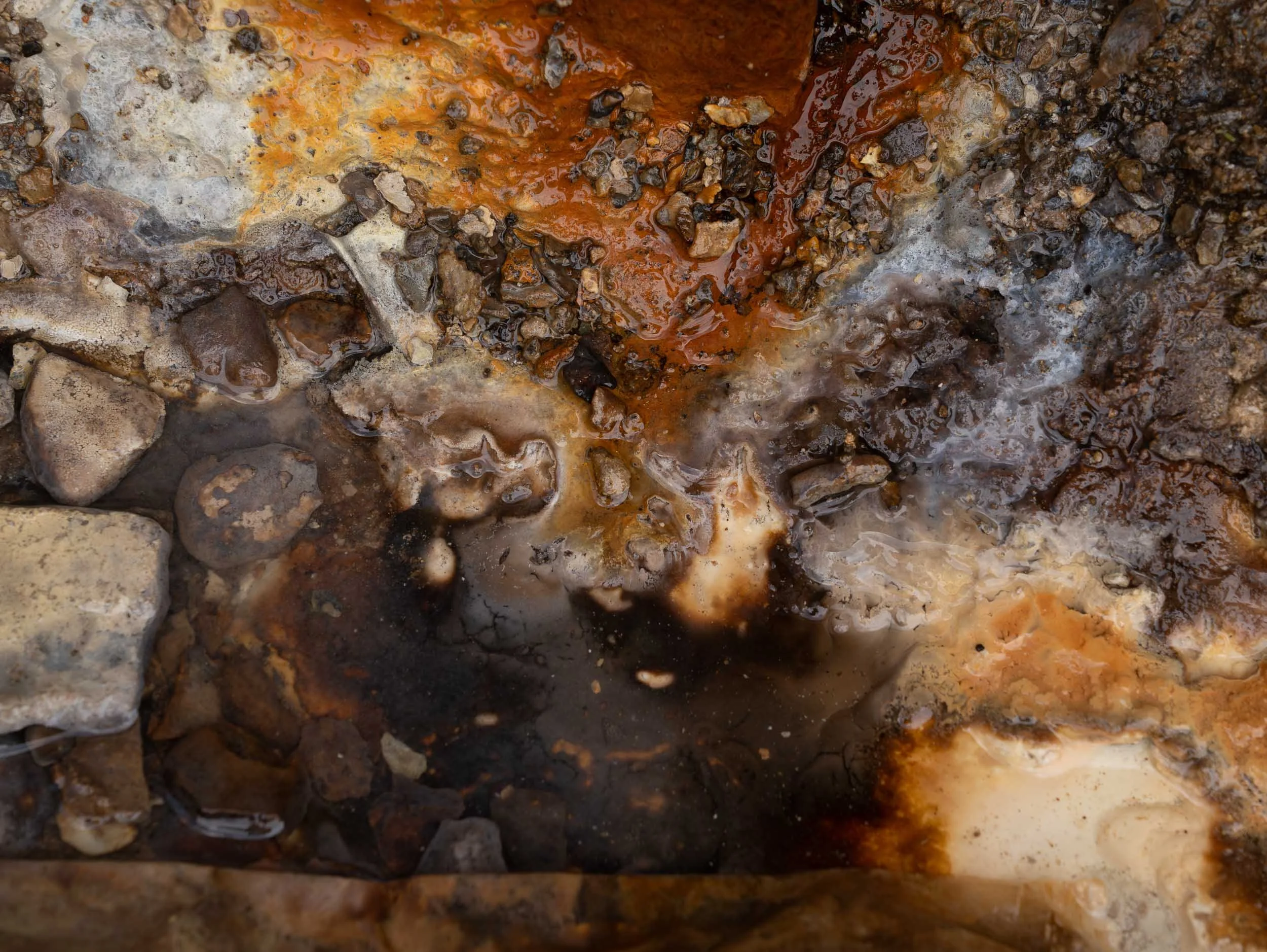 Marcin Kornacki 2500 Std Web- _A741696.jpg