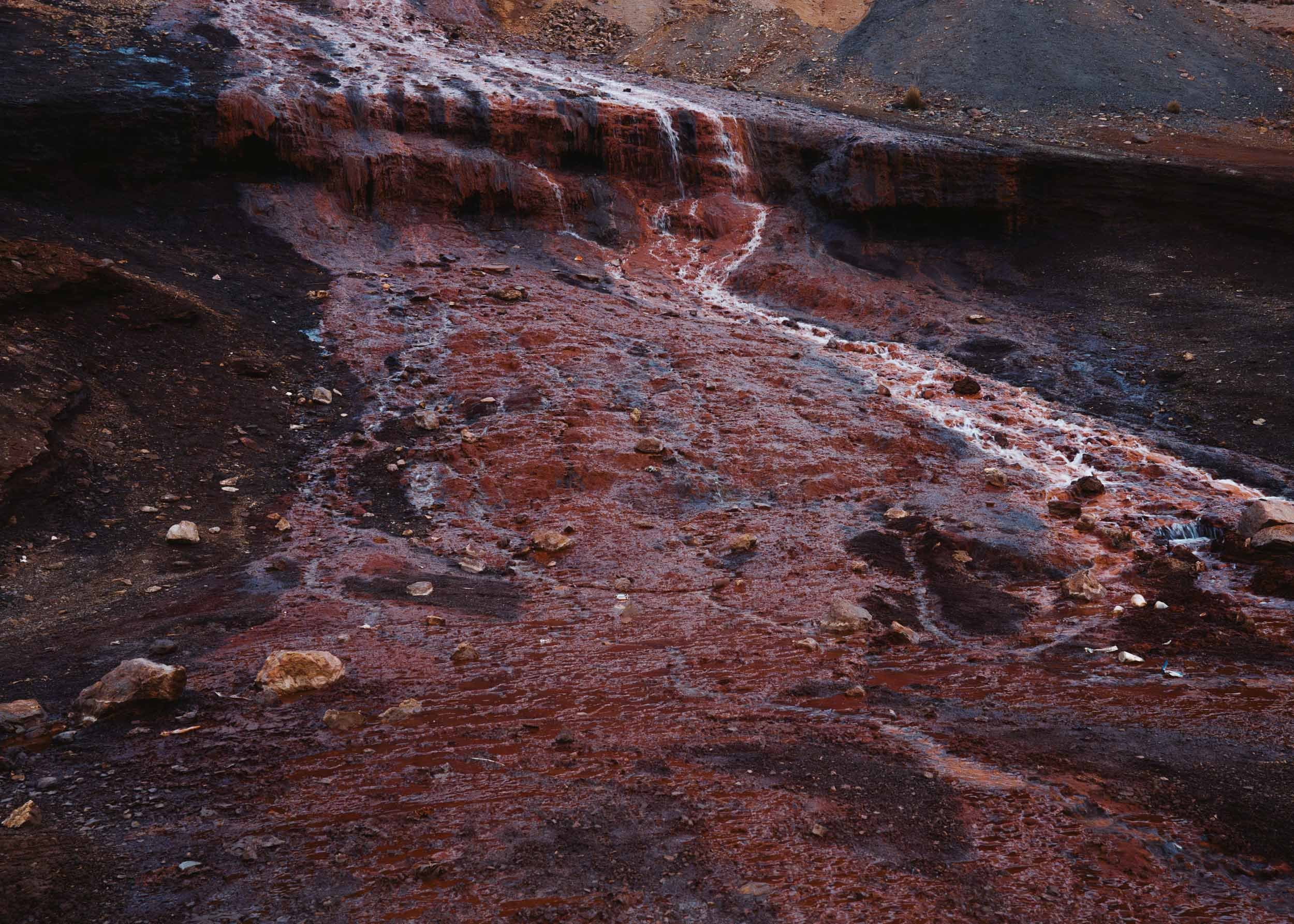 Marcin Kornacki 2500 Std Web- _A748303.jpg