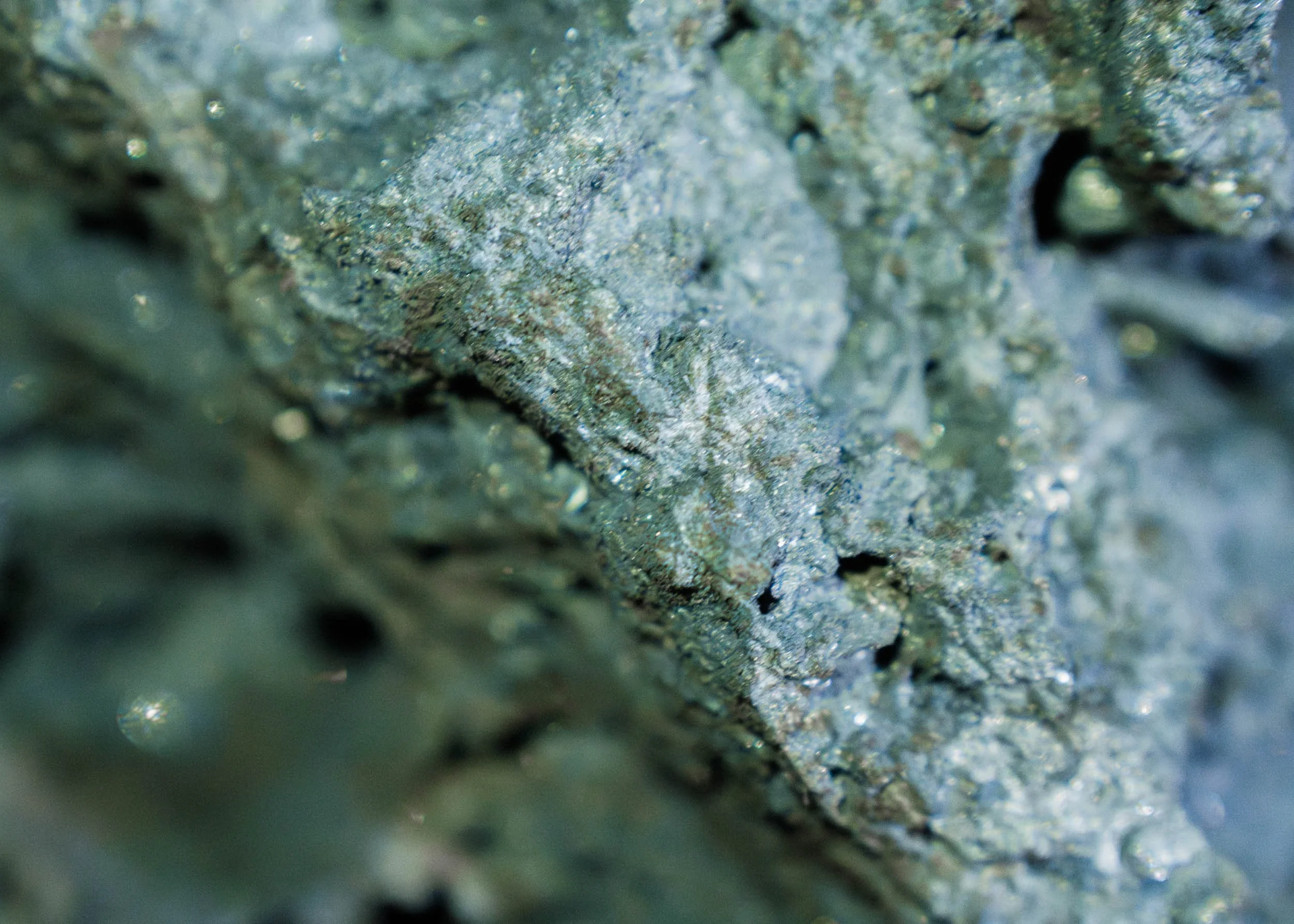 Marcin Kornacki 2500 Std Web- _A742475.jpg