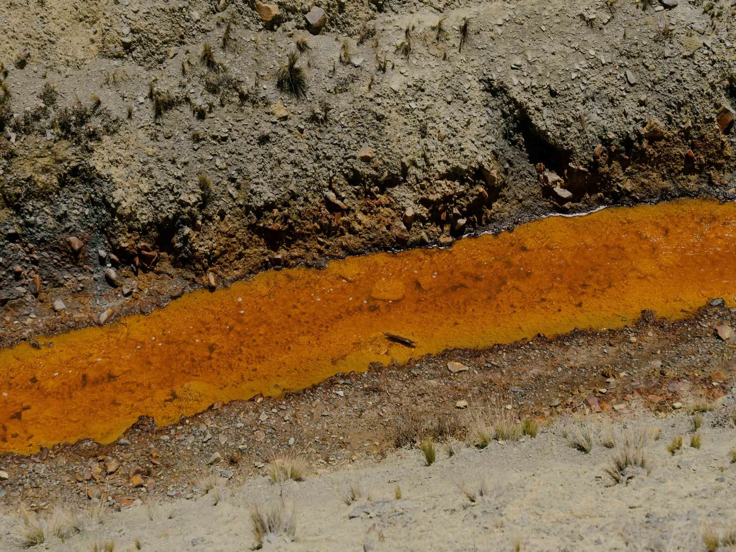 Marcin Kornacki 2500 Std Web- _A744337.jpg