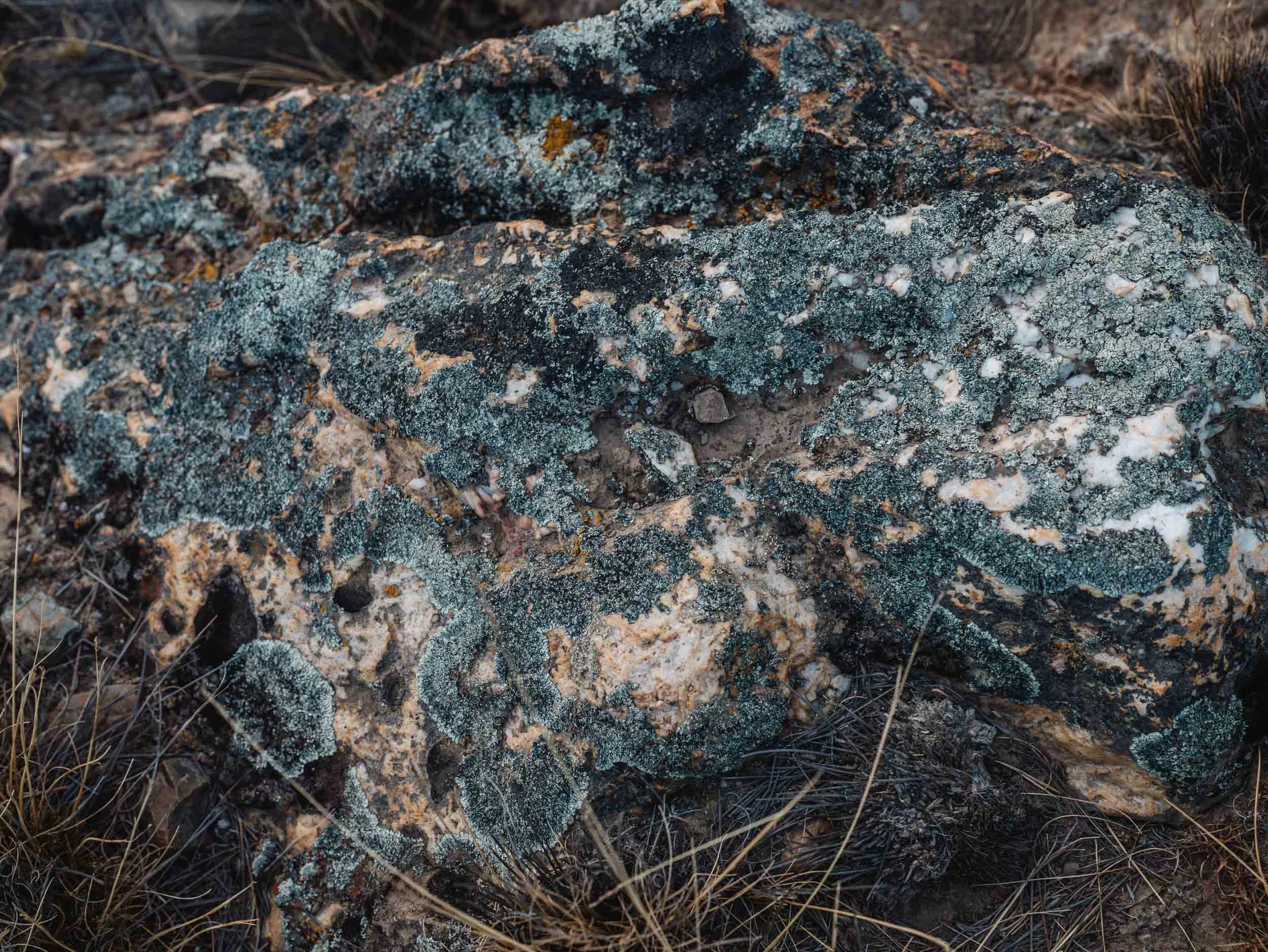 Marcin Kornacki 2500 Std Web- _A748827.jpg