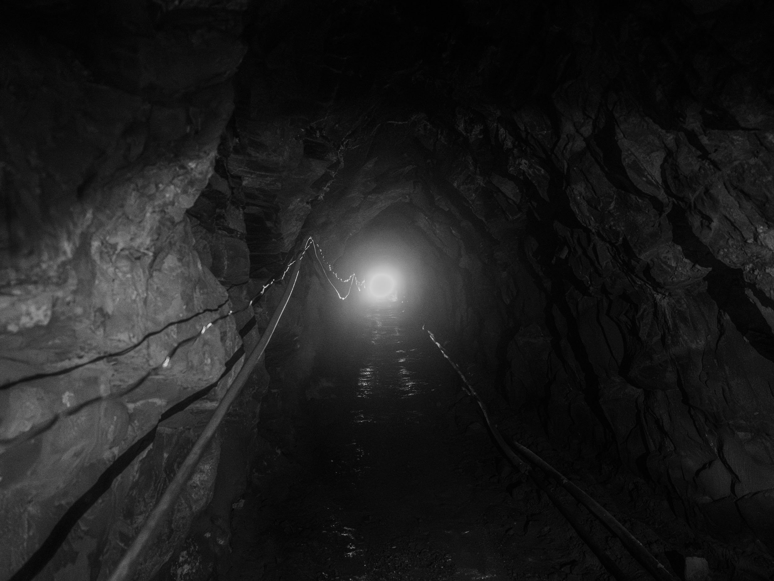 Marcin Kornacki 2500 Std Web- _A742605.jpg