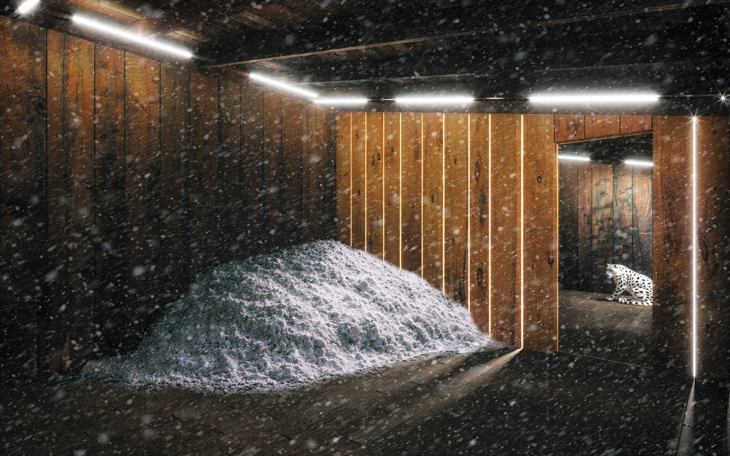 place-mat-lumber-shed-snow-leapord-snowing.jpg