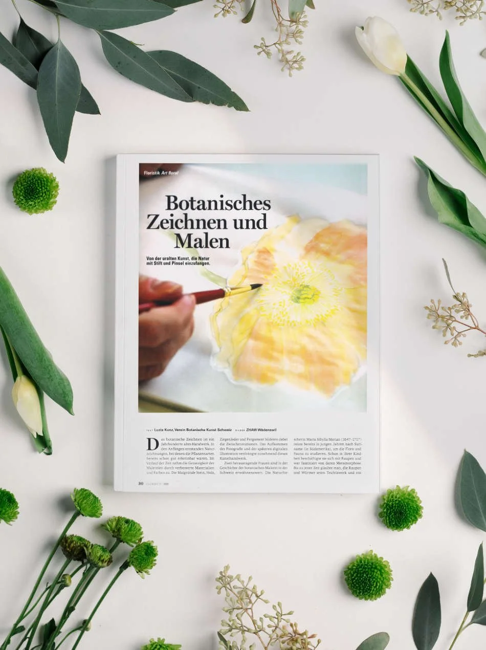 Botanisches Zeichnen im «Florist»