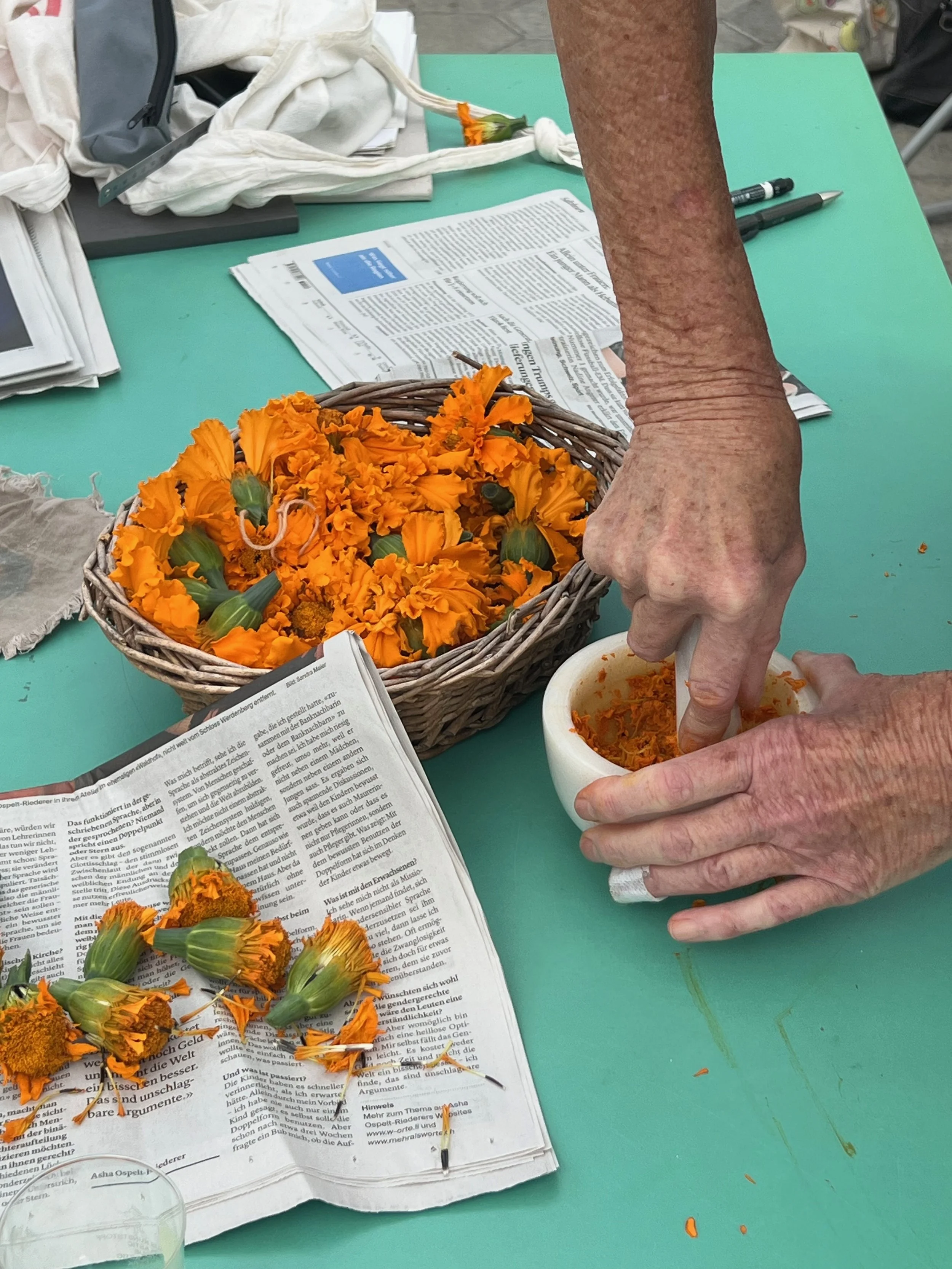Malfarben aus Pflanzen – selbst hergestellt