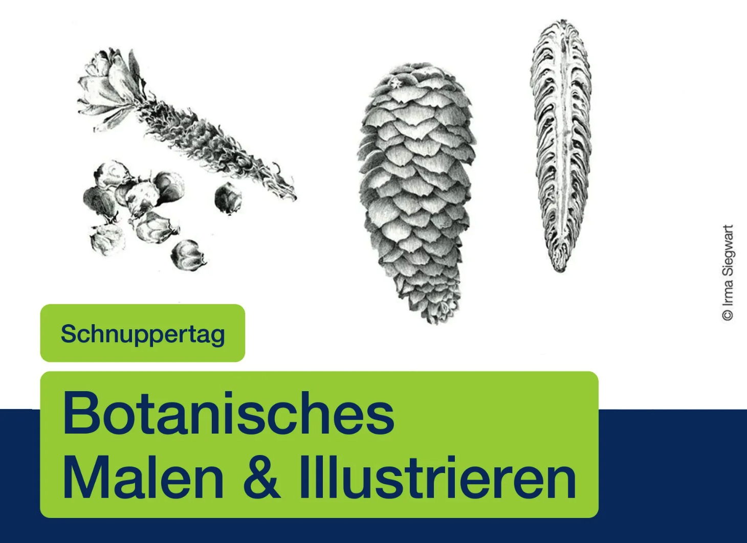 Botanisches Malen &amp; Illustrieren Schnuppertag 2026