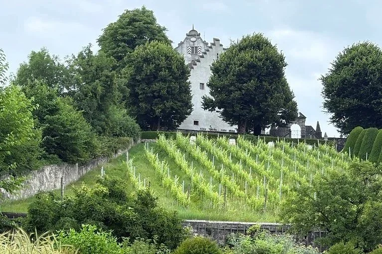 ProSpecieRara-Garten Schloss Wildegg