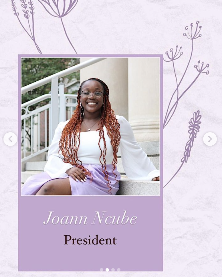 Screen Shot 2024-05-30 at 12.17.37 PM.png