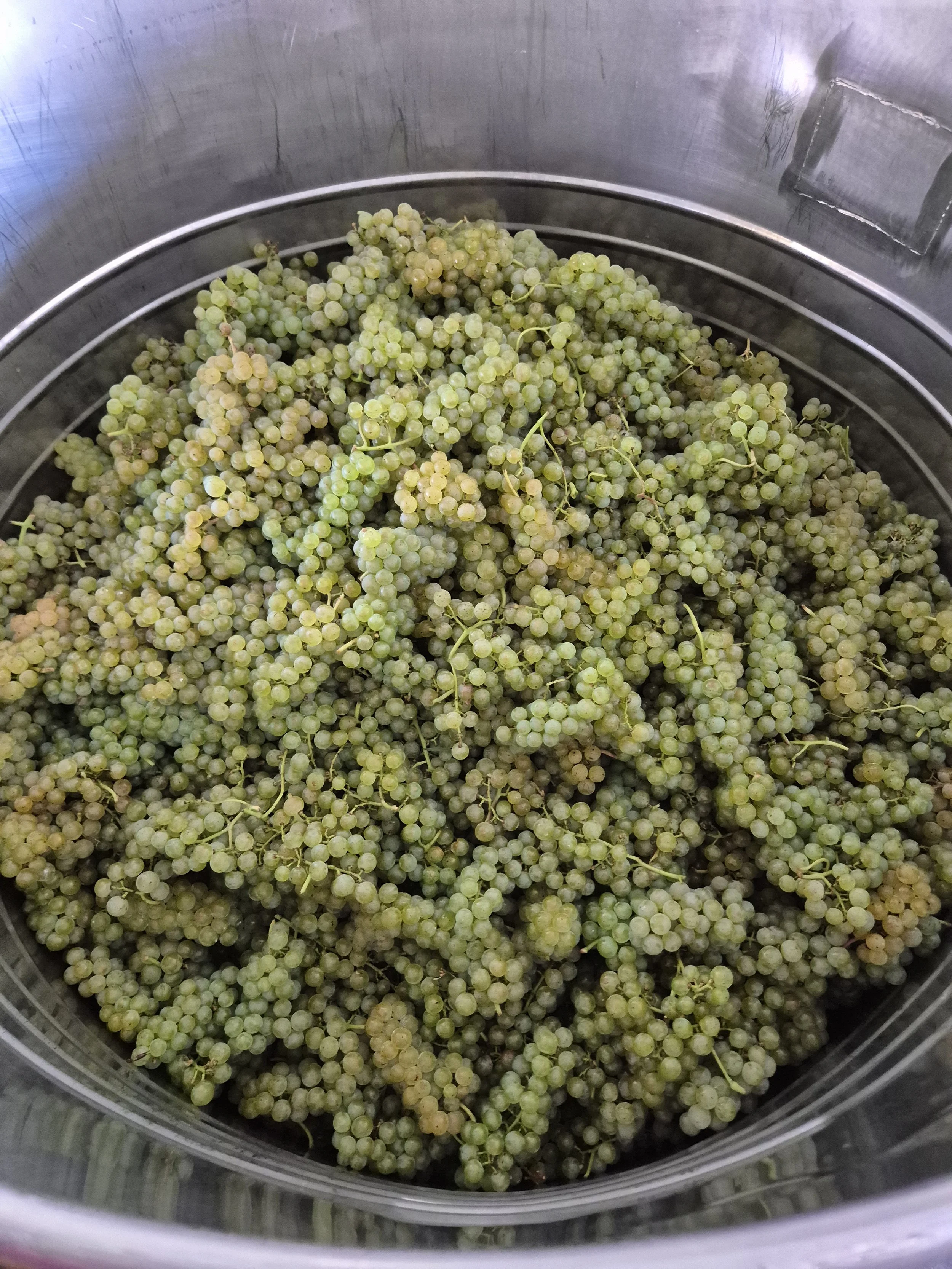 2025-09-11 15.30.24-1.jpg