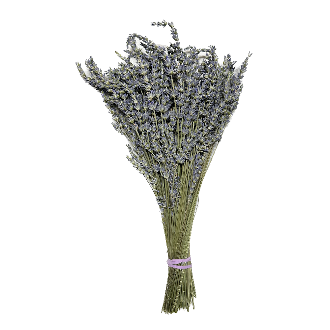 Dried Lavender Field Bundle - LOCAL PICK UP