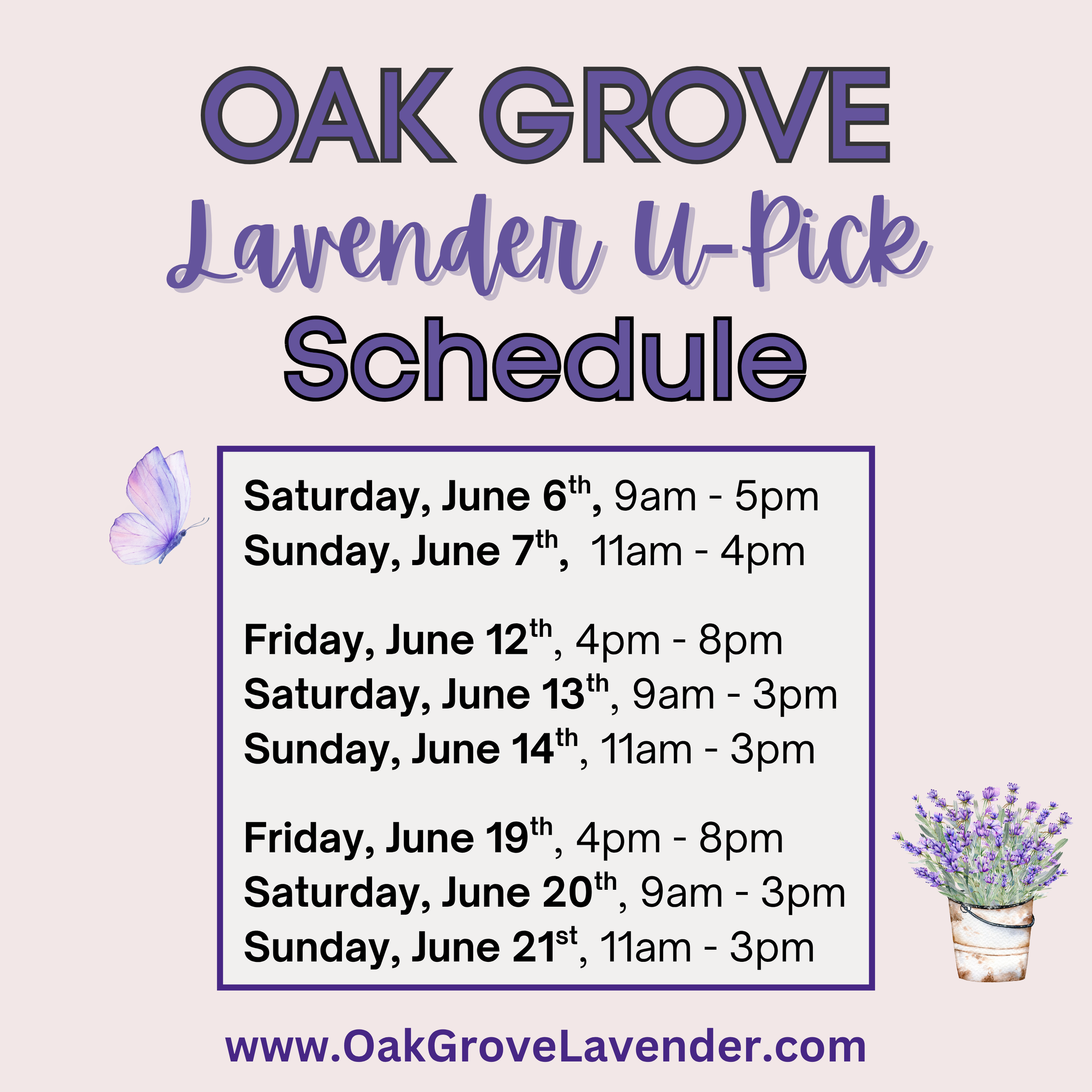 Lavender U-Pick 