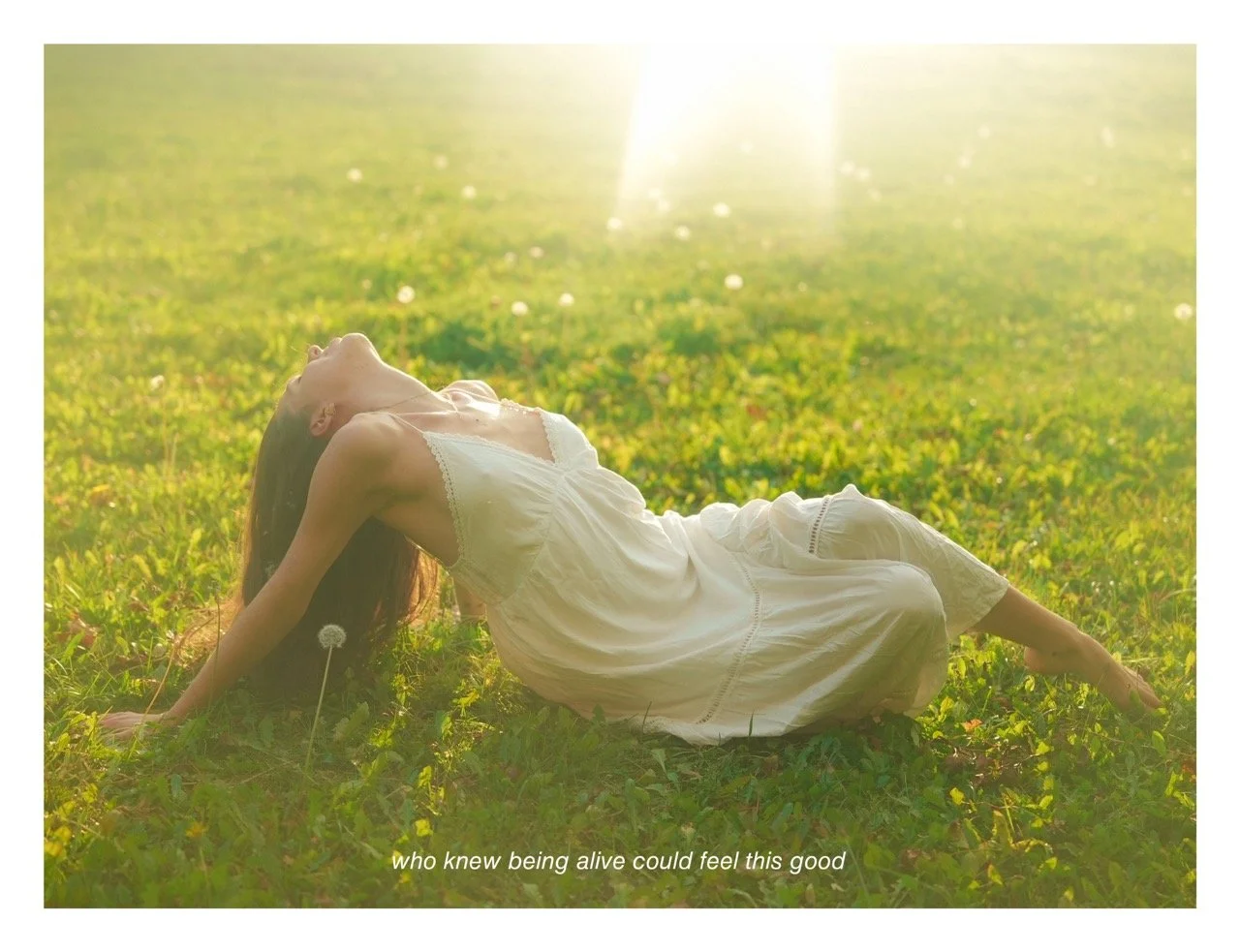 2C8F9362-07A1-4B08-A632-CBBFBF617919 Large.jpeg