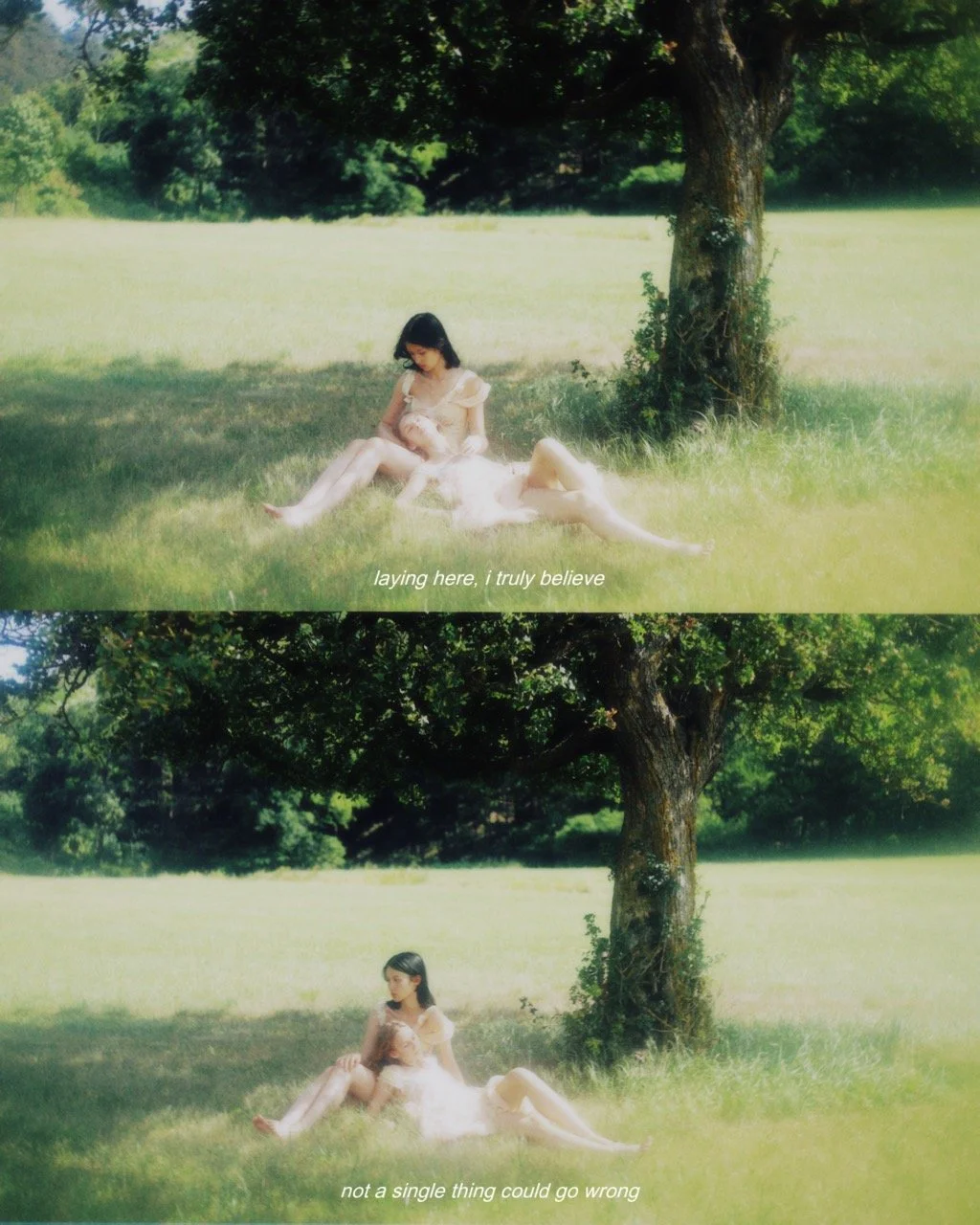 ECF7C084-2A94-42AF-B99A-907E4BFF1739 Large.jpeg