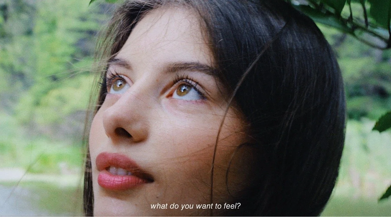 A337BD0D-3249-4CF8-B5A6-09832DF7B095 Large.jpeg