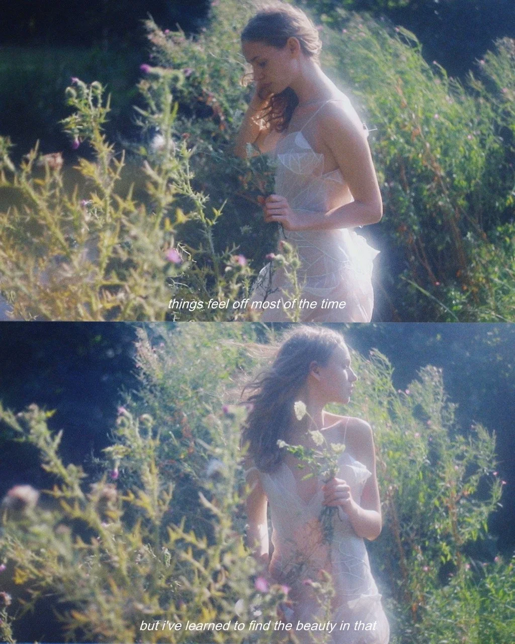 F96B8336-1FA9-42C8-86FC-9B4FB432245A Large.jpeg