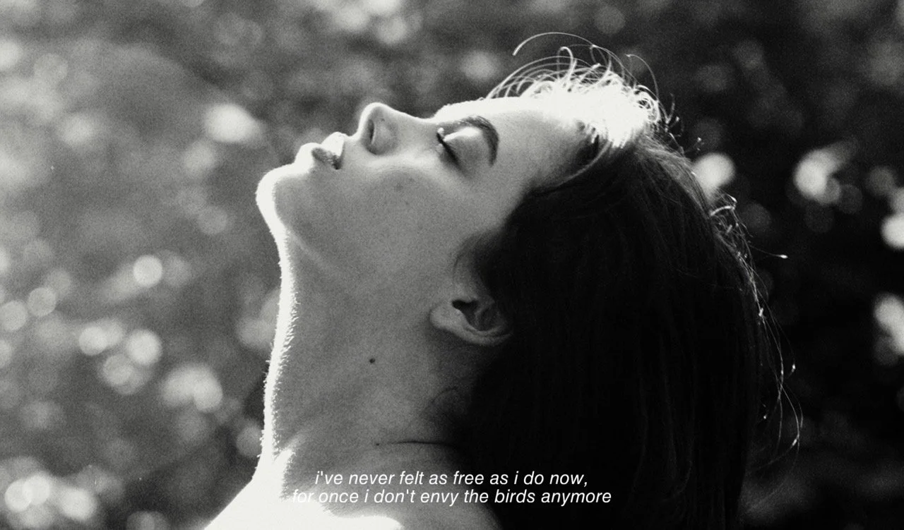 83BC7C5C-4F79-456A-A7FC-1EDD93F53FC0 Large.jpeg