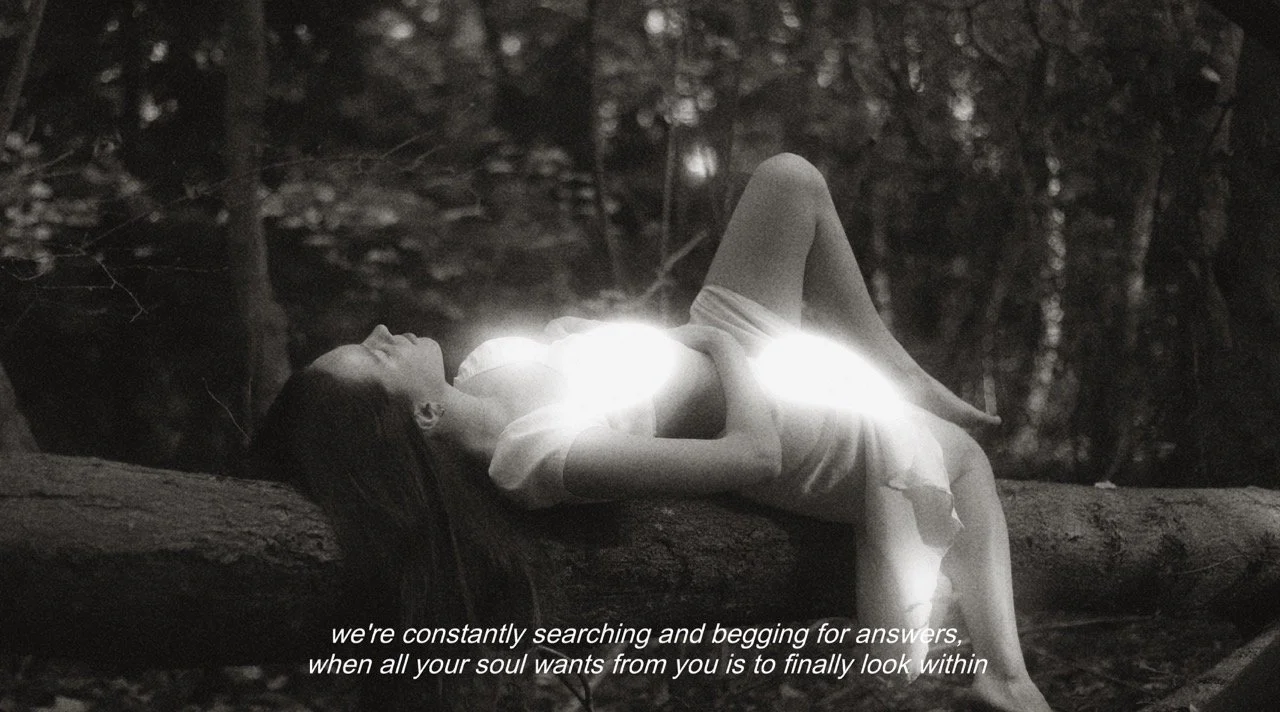 F1049B3D-5F45-4E4F-9A1B-364BA7F5FE45 Large.jpeg