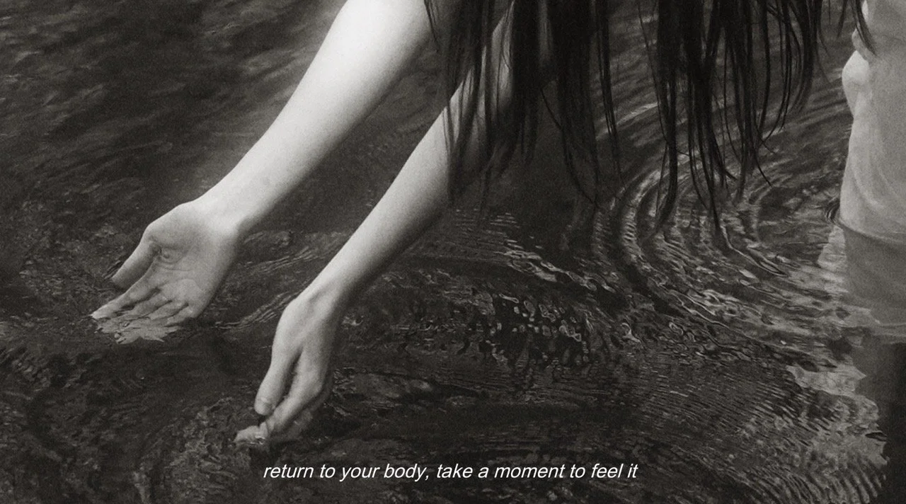 90BFC8EF-C7AA-4C68-B19A-214CD47E0713 Large.jpeg