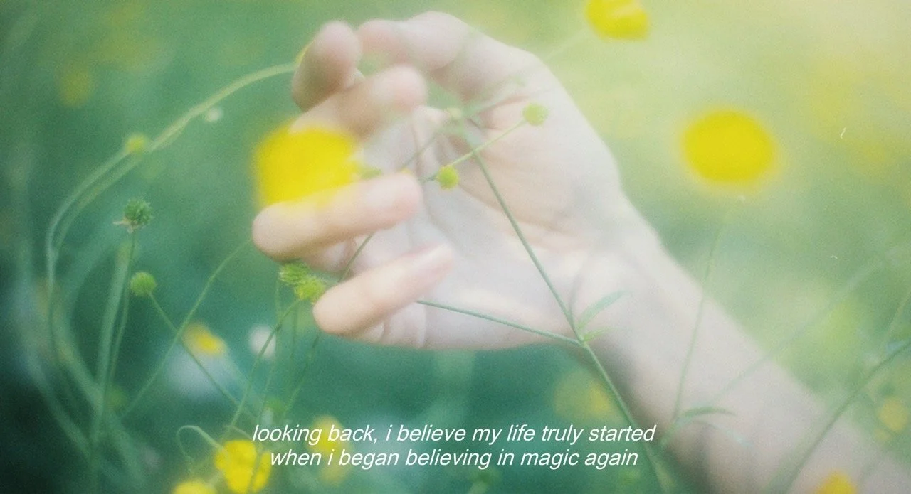 E278C818-8F45-4D32-A388-A2FE57FD0374 Large.jpeg