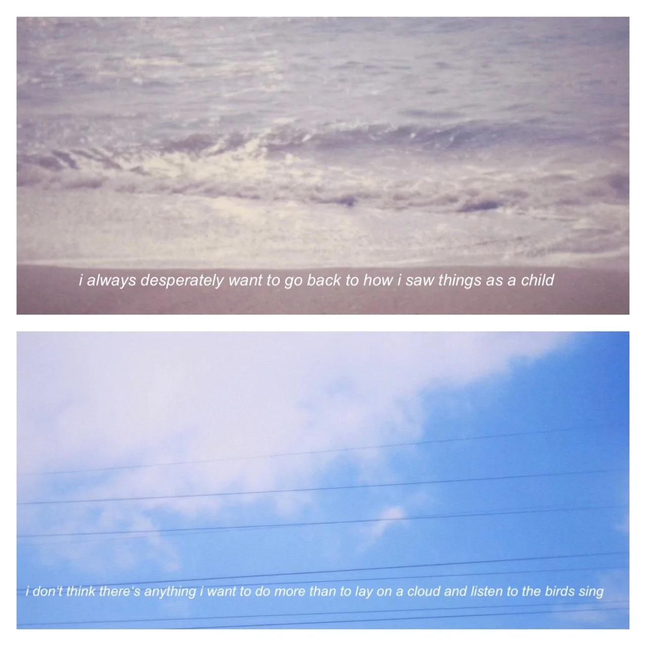 10C3DBA5-EBE4-41DA-AA94-CEB7FA881C4D Large.jpeg