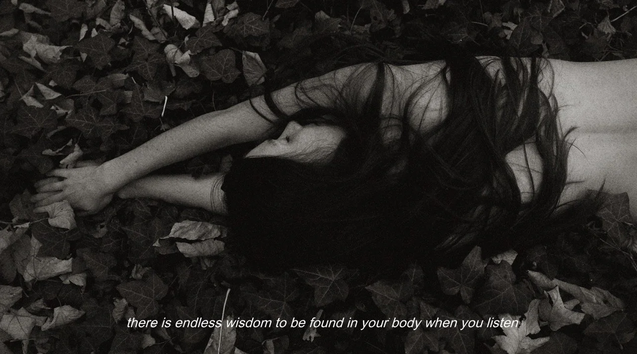 4FFCEB48-8B50-40FB-8944-0DAEE41CEB2C Large.jpeg