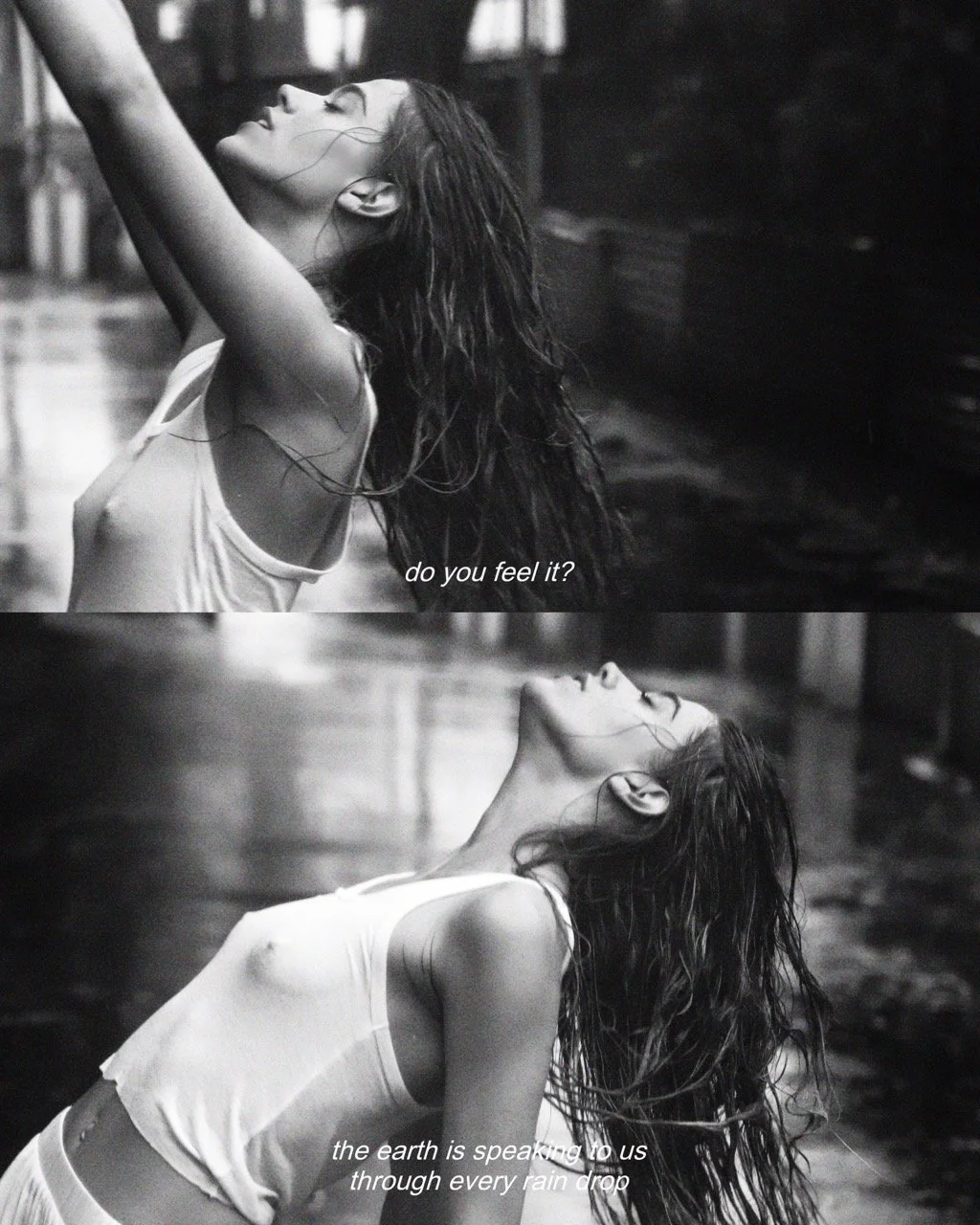 97A32064-57B0-4C0C-9FBE-74991E292D1A Large.jpeg