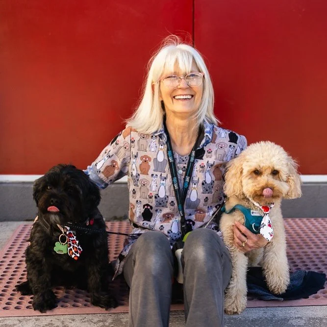 Laura and her team @uptown_dog_grooming are helping make WAG-O-WEEN extra special πΎ
Not only will they be selecting the winners of the costume contest, they’re also donating three tail-wagging prizes for our best-dressed pups!
Uptown Dog is