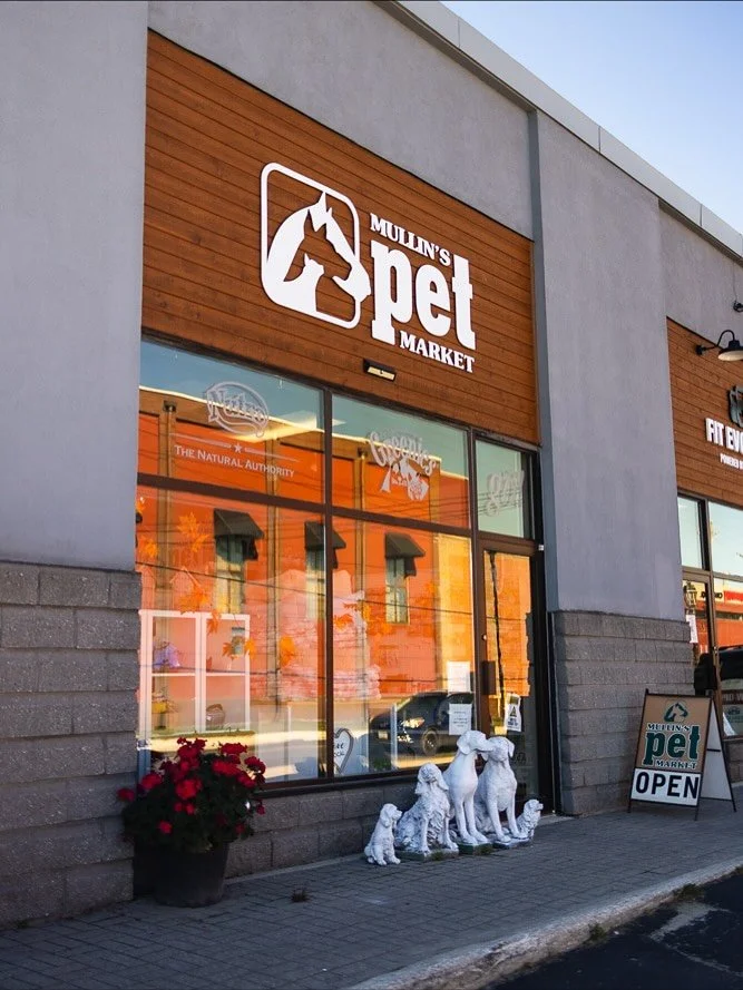Boops of gratitude to @mullinspetmarket for providing the treat bags at WAG-O-WEEN π€πΆ
Visit them at 99 Kings Court for everything your furry friends could ever need. Open 12-4 today and 10-6 all other days.
πΈ @townandcountycollective 
#experien