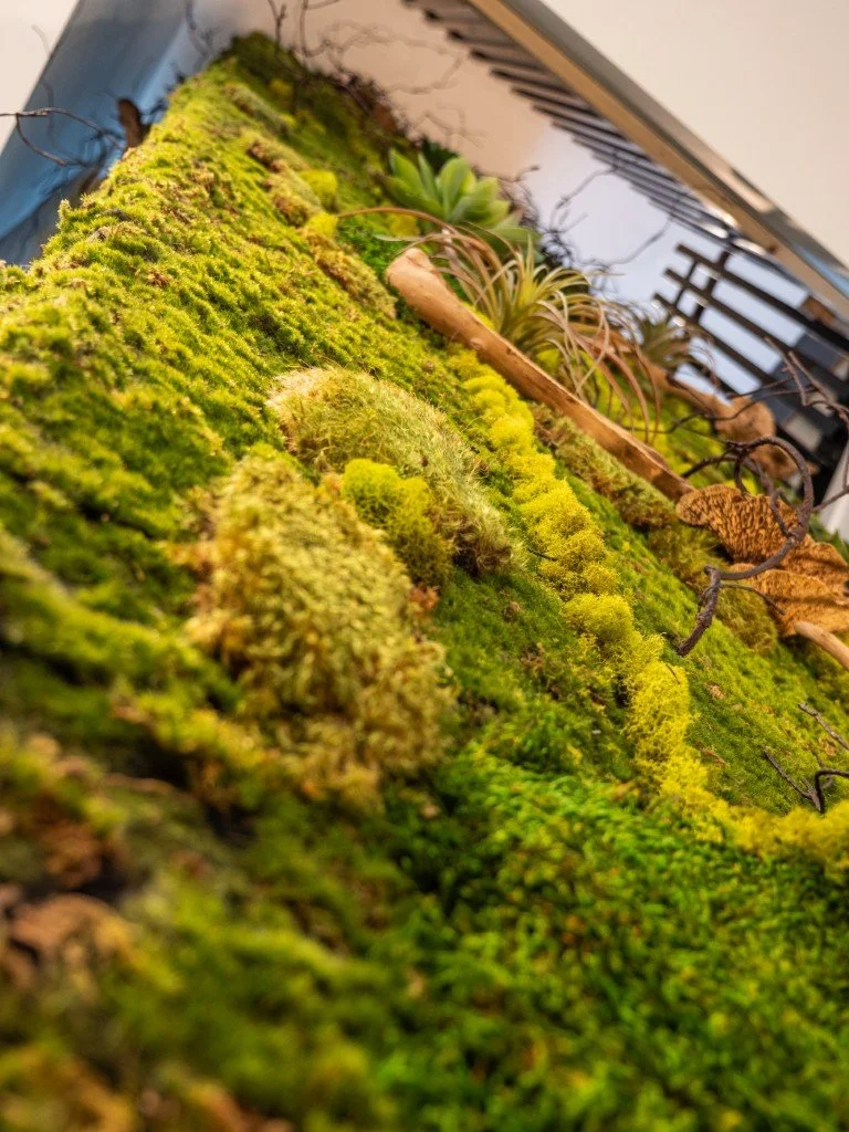 247 design uses biophilia in design to form connections to nature in clean modern sophisticated ways