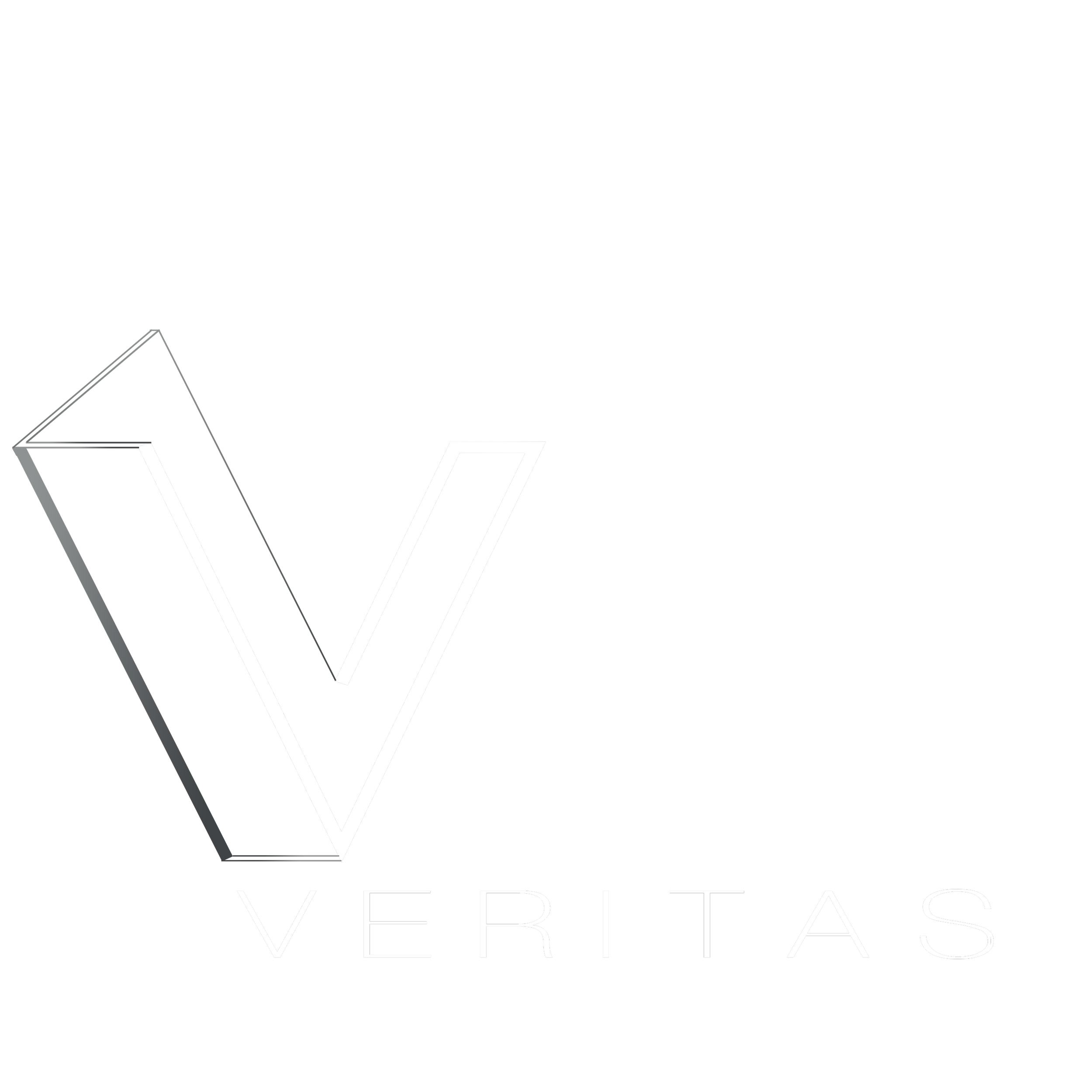 Veritas, Sarasota Design Build Firm design and build with integrity