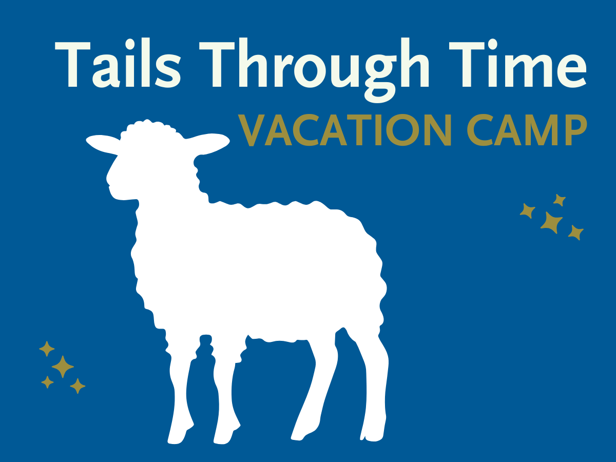Tails Through Time Vacation Camp