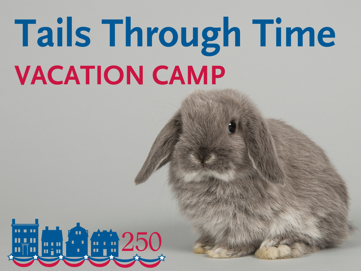 Tails Through Time Vacation Camp