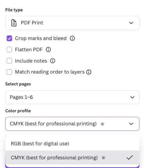 A screenshot showing the best PDF print selections for a Canva menu template.