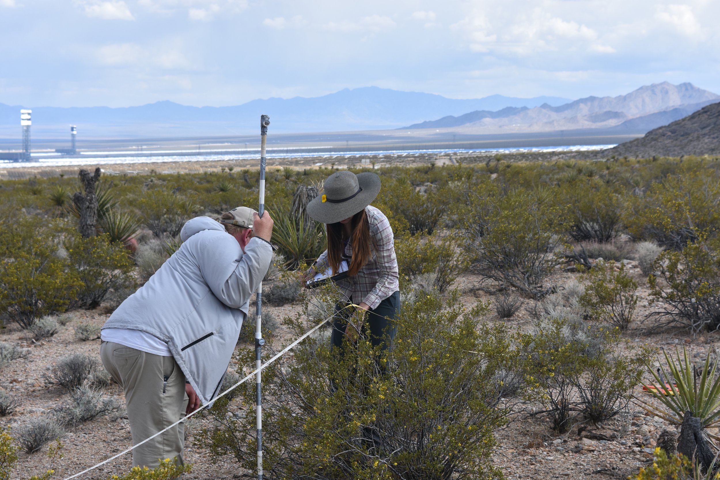 Vegetation Sampling - Control Plot - ISEGS.jpg