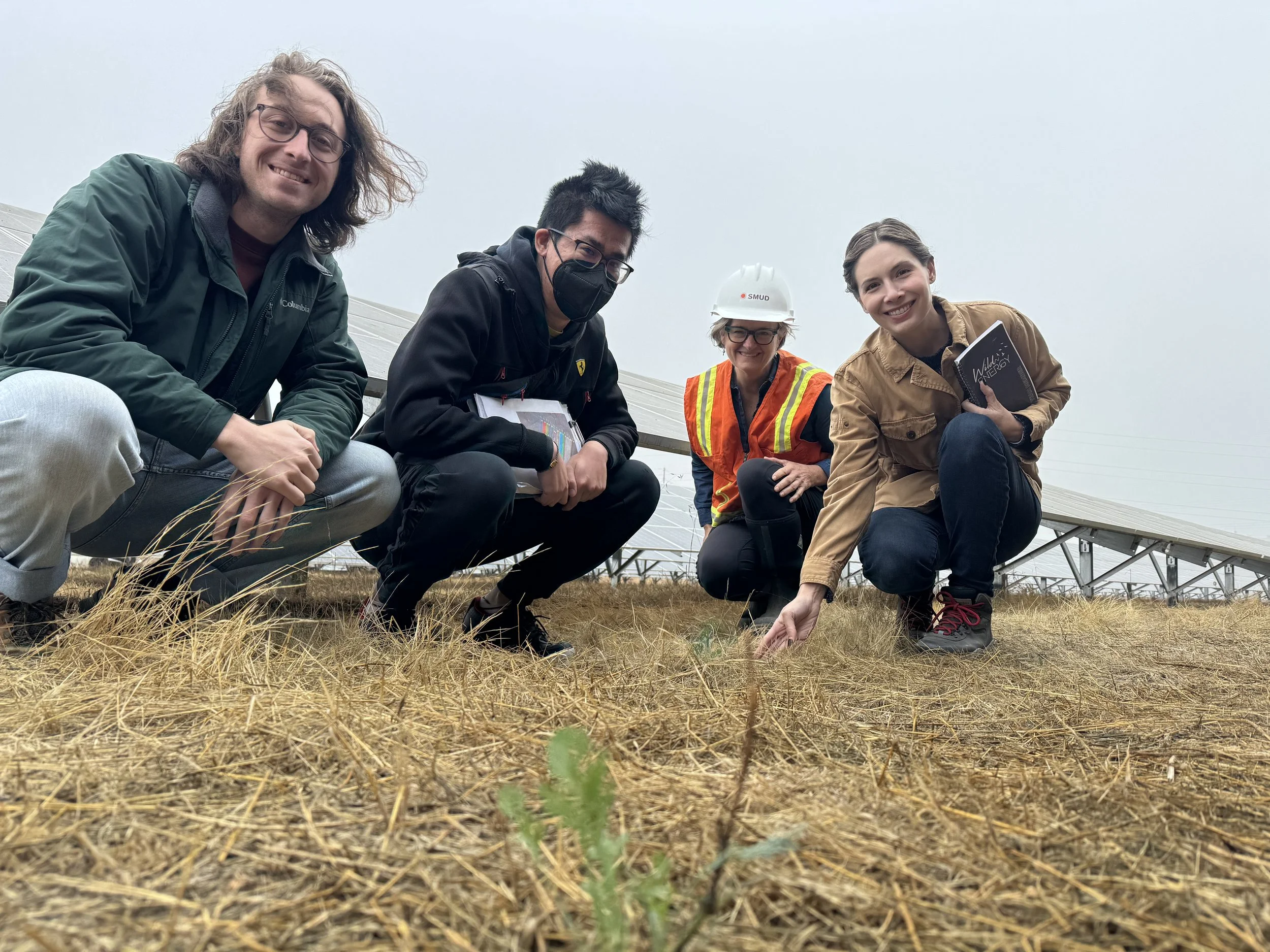 Prof. Hernandez and multi-sector UC Wild Solar Team win $2 million dollar grant!