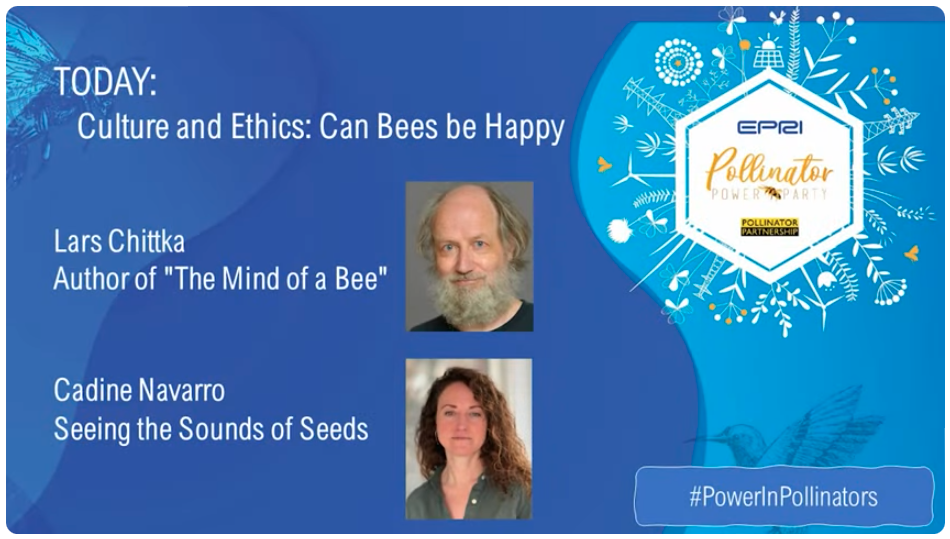 Day Three: Culture and Ethics: Can Bees be Happy?