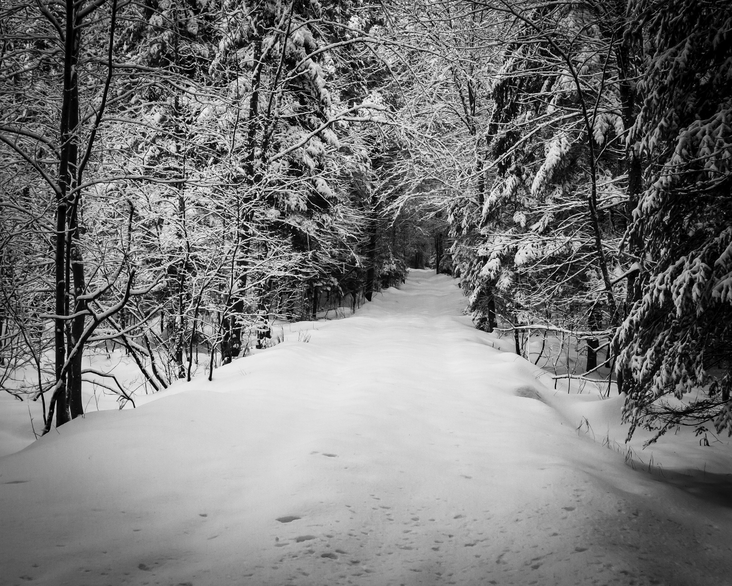 Get Your Home Ready for 2026: Winter Projects That Add Value in Maine