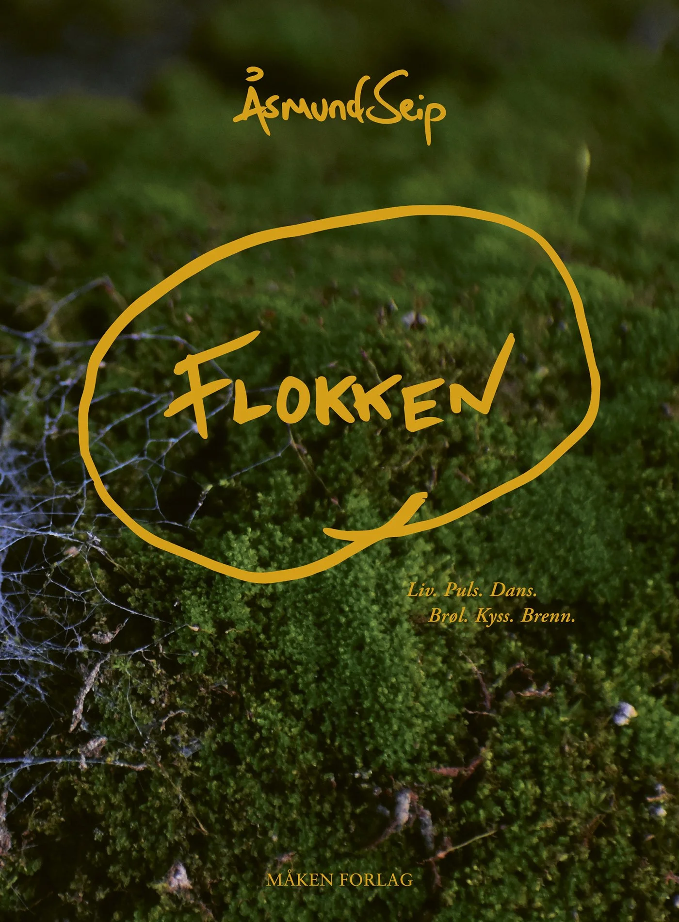 FLOKKEN-COVER-lores.jpg