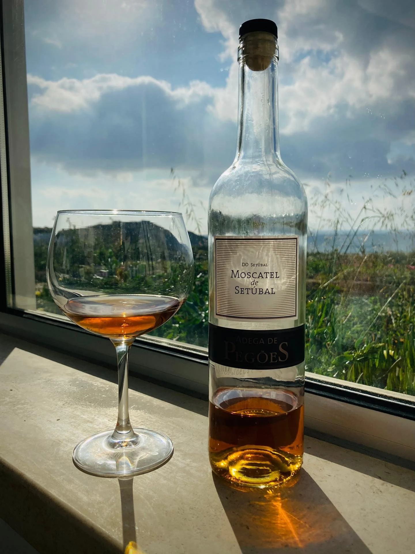 wine in portugal.JPEG