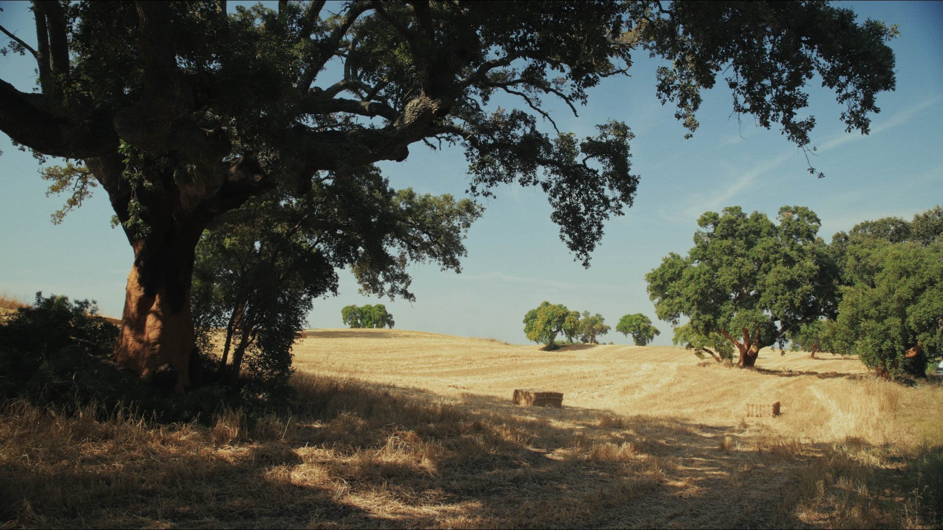 Alentejo (2).jpg