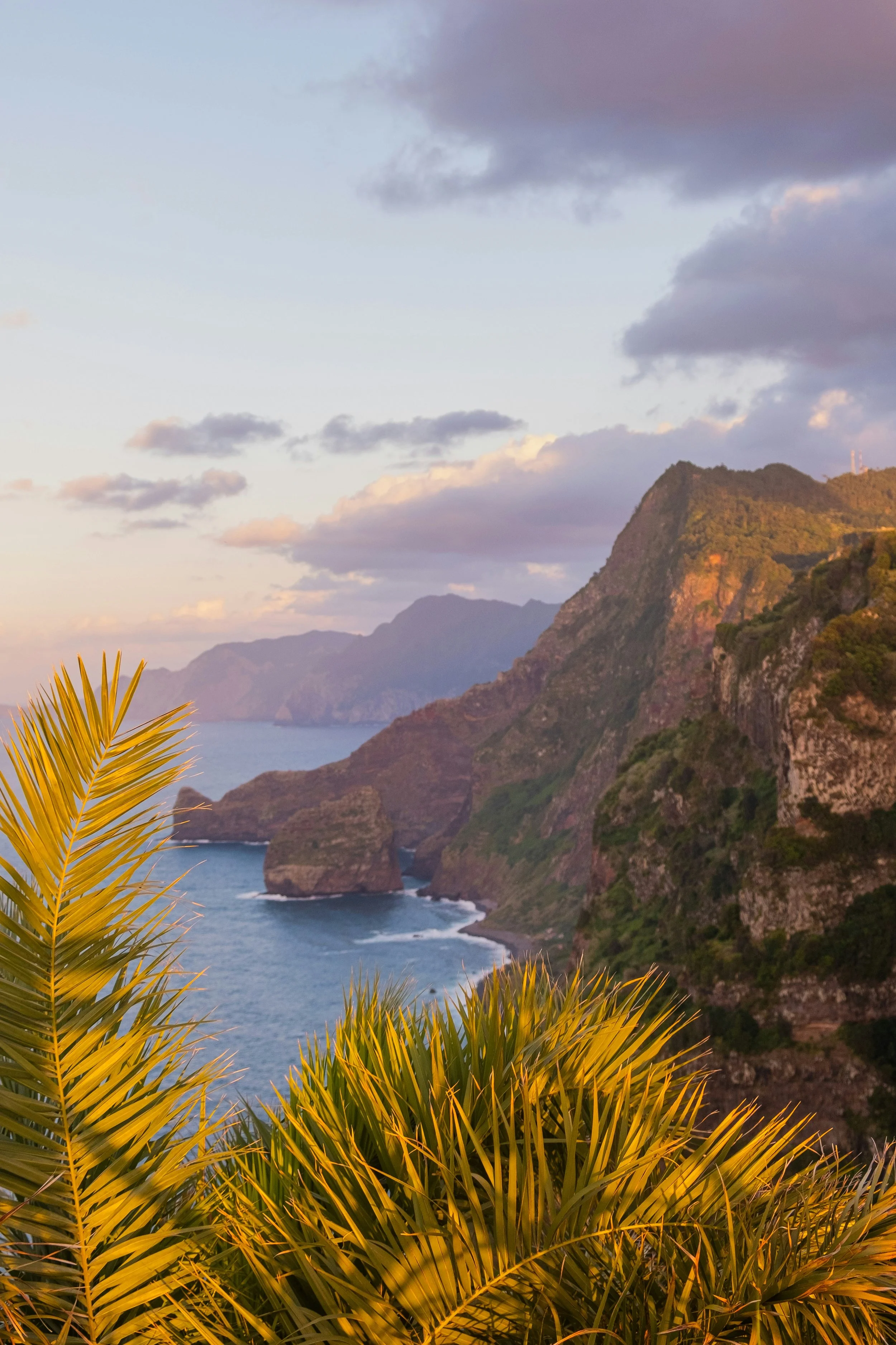 Beyond the Mainland: Corporate Retreats in Madeira and the Azores