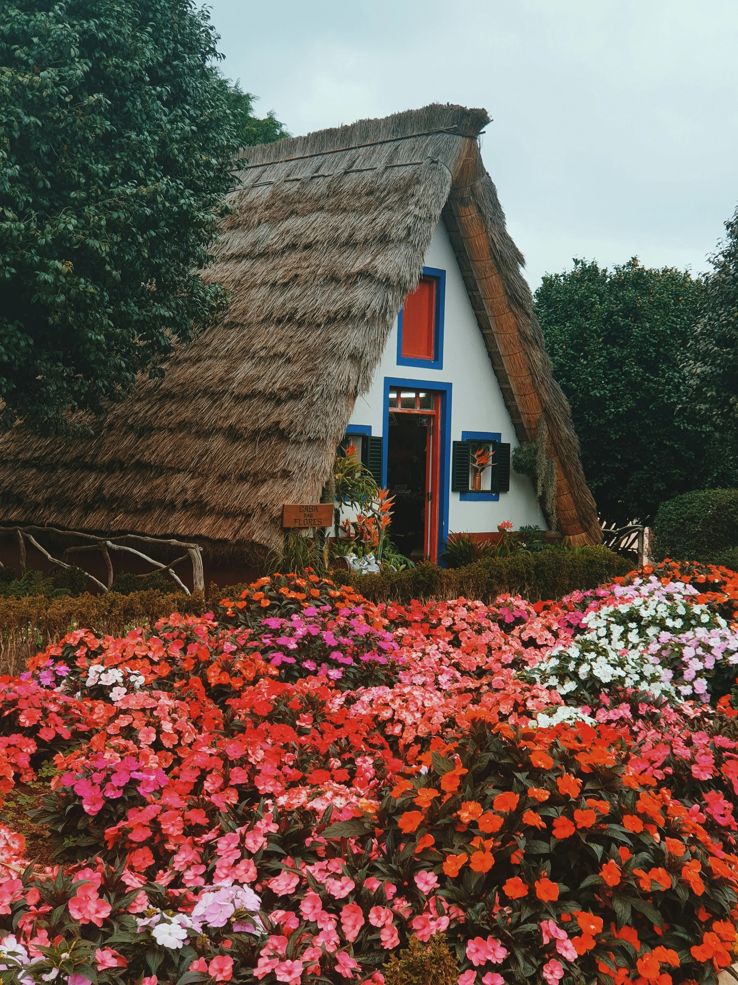 reiseuhu-60xPhYfi6hA-unsplash.jpg