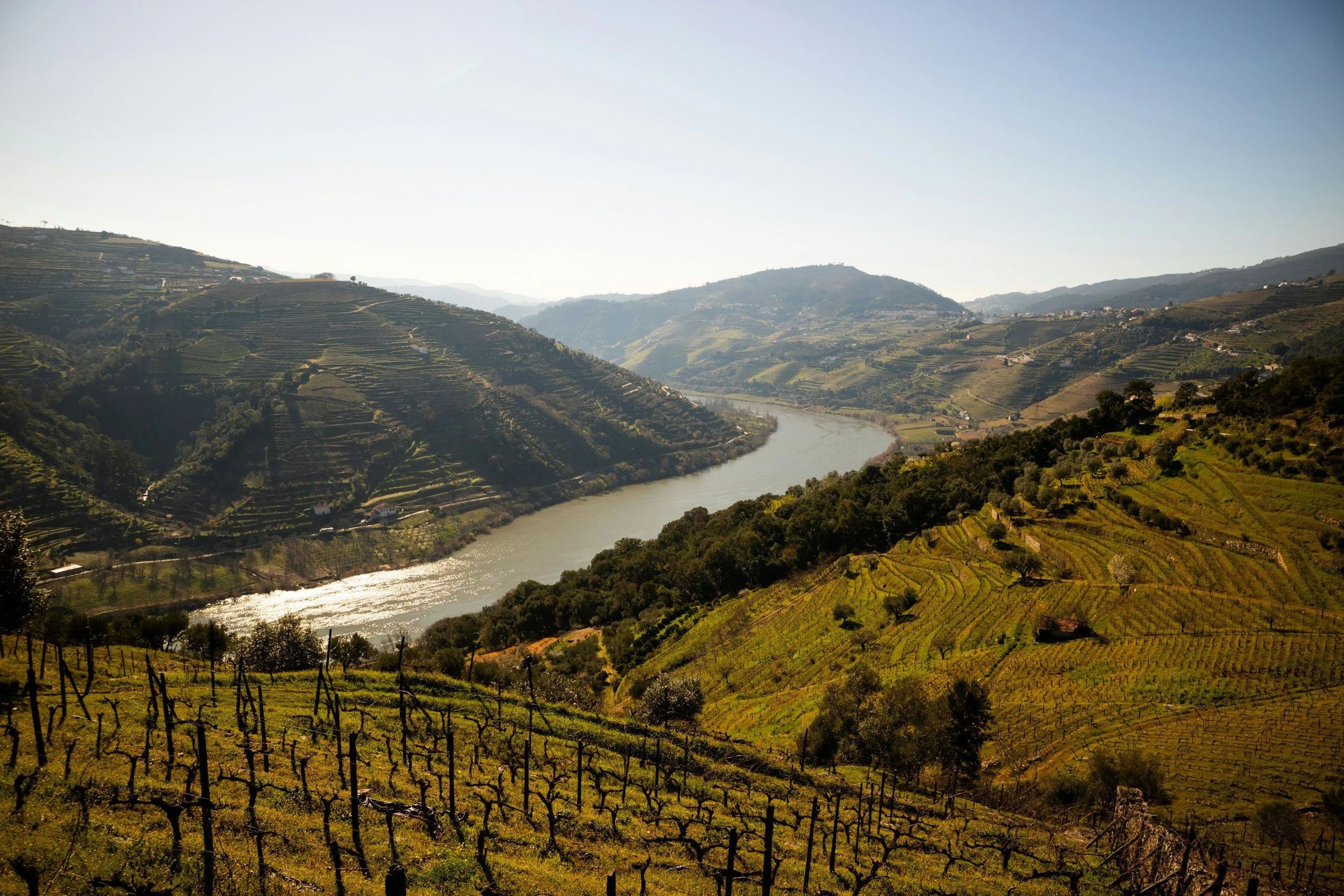 Vineyard landscape in Portugal’s Douro Valley