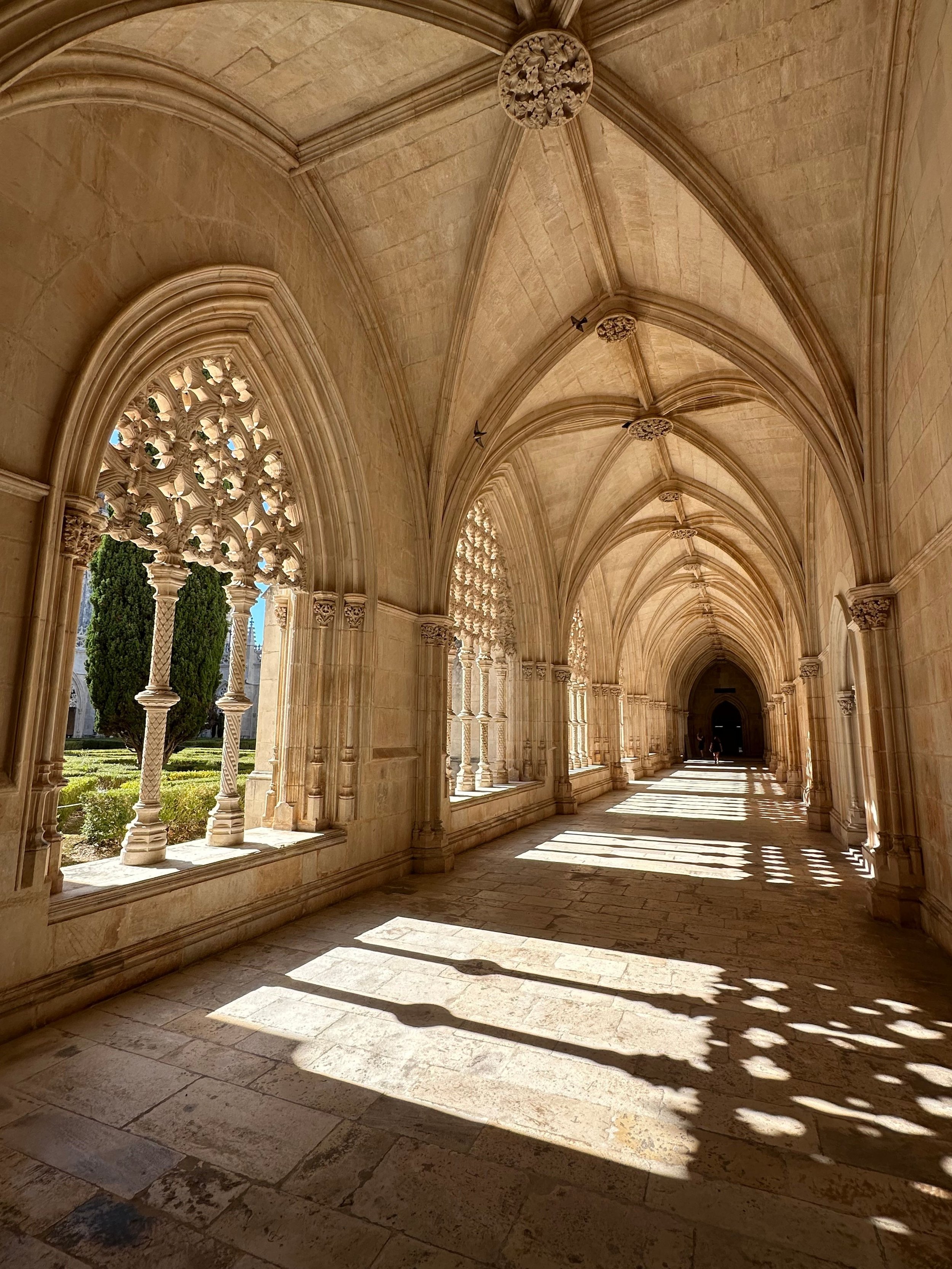 pexels-cruz-in-portugal-34477198.jpg