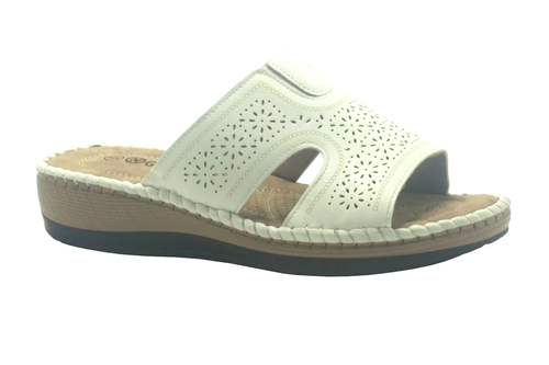 DSC03931.png.webp