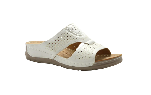 9882 white.png