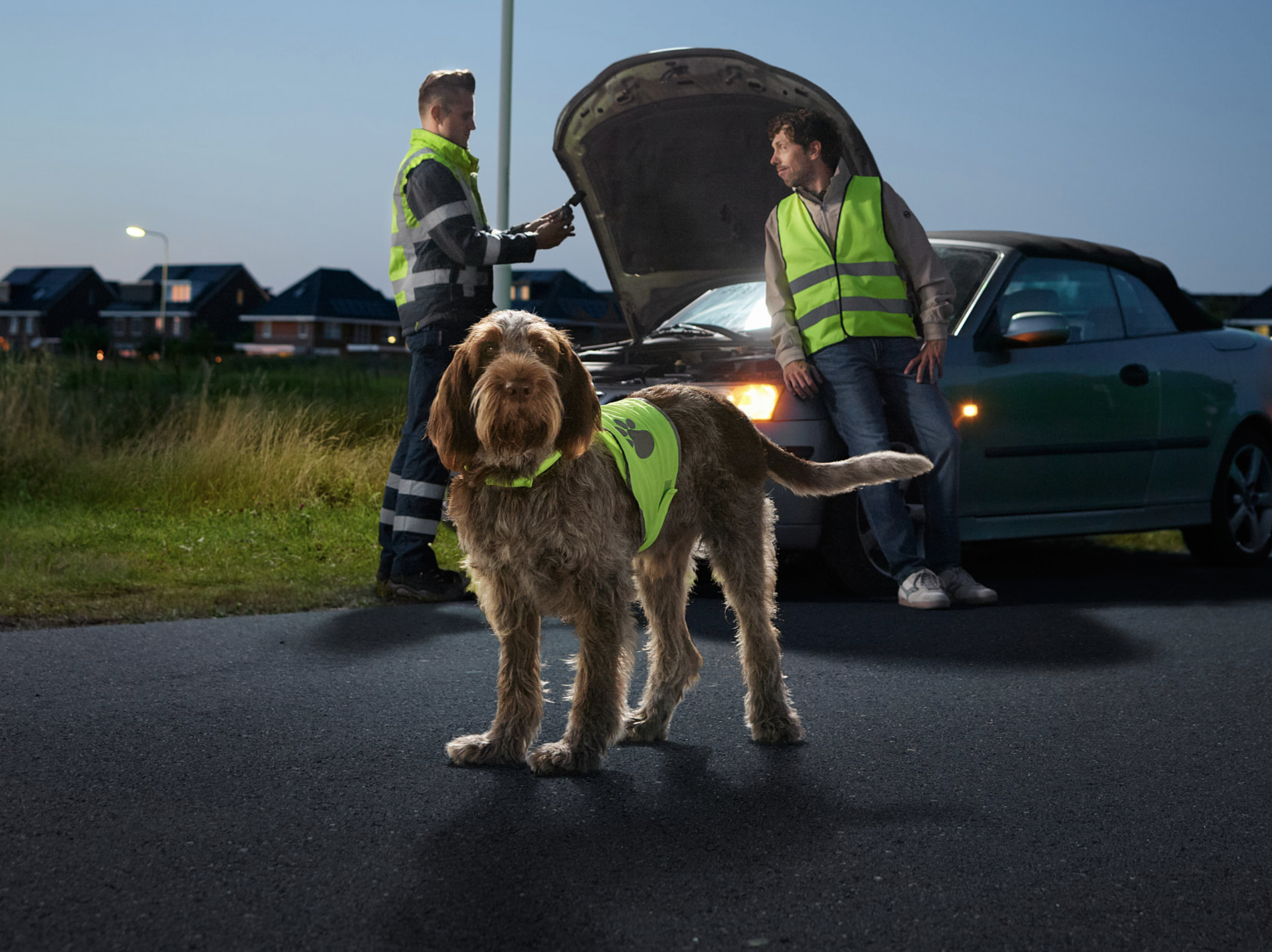 Screenshot 2026-03-04 at 16.54.09.png