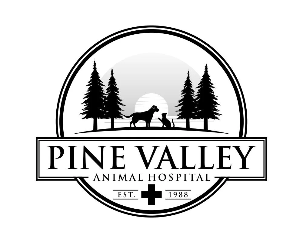 THANK YOU to Pine Valley Animal Hospital for being a Sunshine Sponsor for Spring Fling! 

If your business would like to sponsor the Spring Fling, please email: PTABoard@Masonboropta.org.